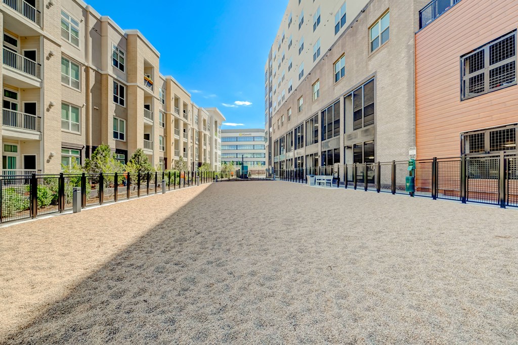 Dog Park at Novus, Lone Tree, Colorado