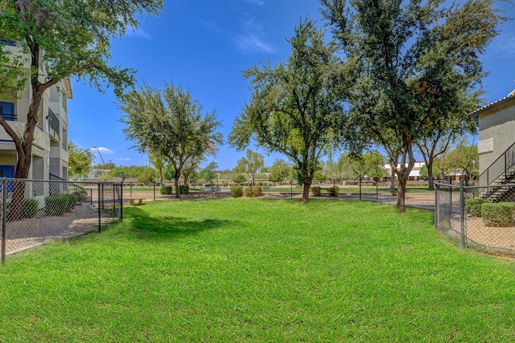 the preserve at ballantyne commons dog park