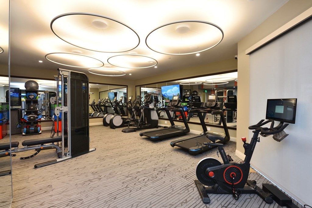 Fitness at The Flats at West Alabama, Houston