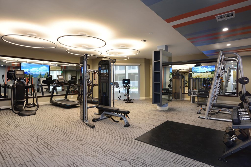 Gym at The Flats at West Alabama, Houston, TX, 77027