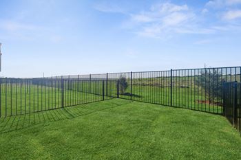Fenced yards*