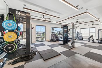 a gym with weights and cardio machines and a glass door