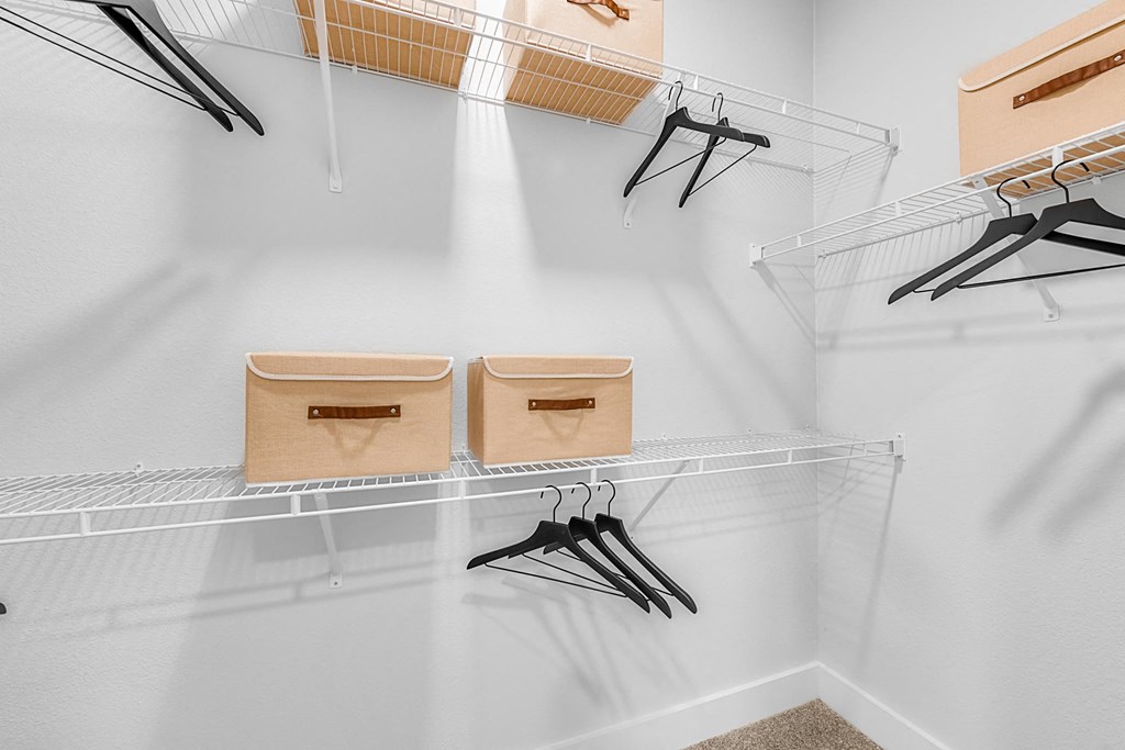 Closet with hangers and boxes on shelves.