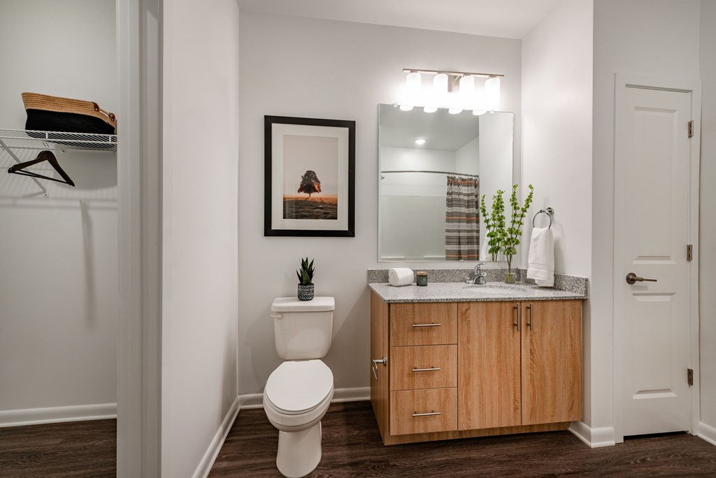 Vanity Lights at Brandywine Green, Maryland