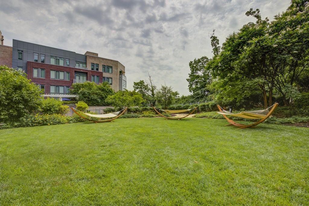 three hammocks on the lawn of a park in front of a building
