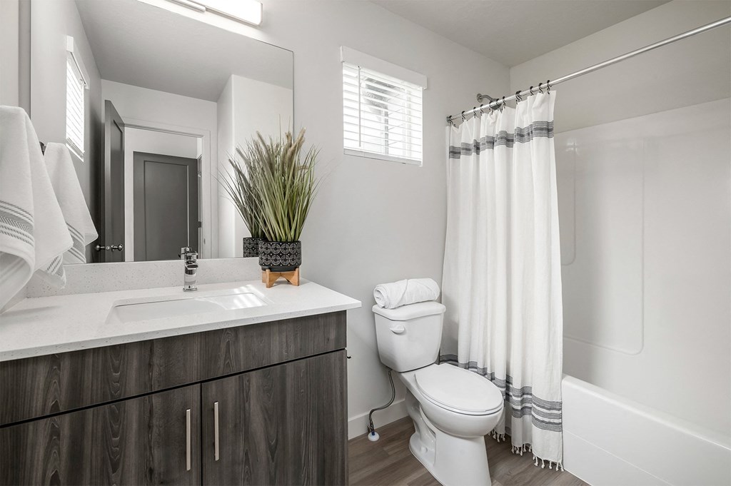 a bathroom with a toilet and a sink and a shower