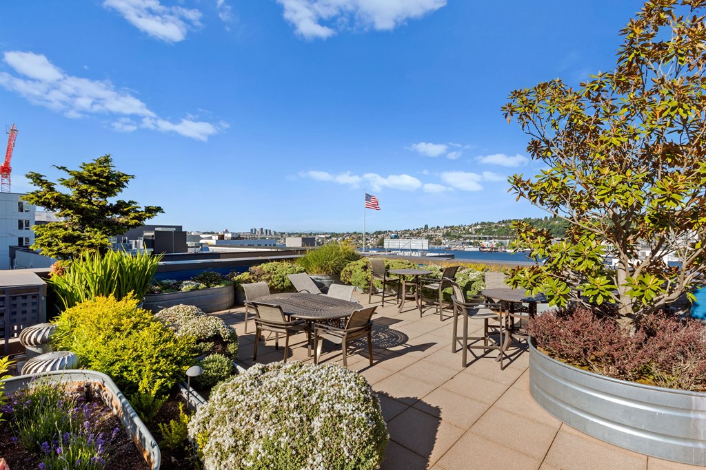 the rooftop terrace at the laureate apartments in san francisco, calif., is seen  at Dexter Lake Union, Seattle, 98109