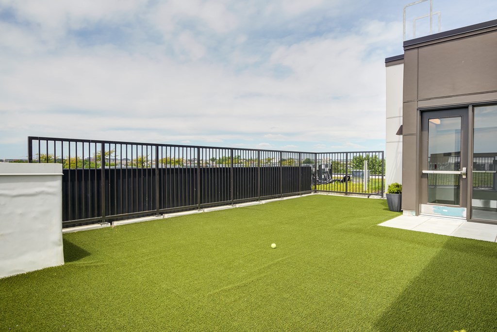 a green lawn on a balcony with a ball on it