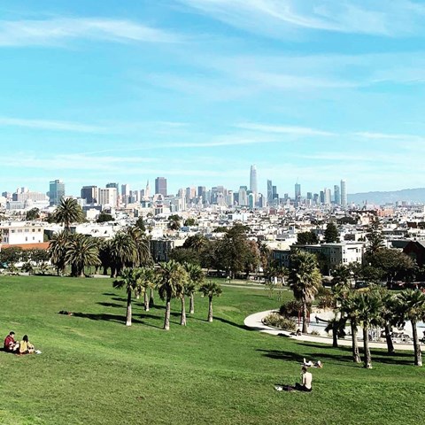 a park in san francisco with people sitting on the grass