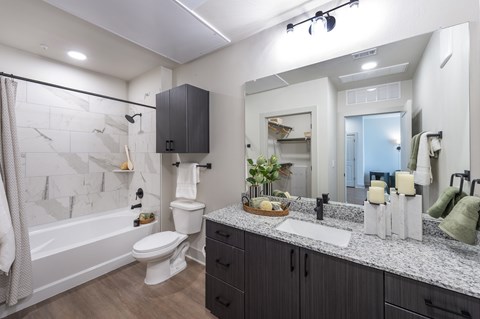 A bathroom with a marble tile shower, a white toilet, a sink with a mirror above it, and a vanity with a plant.