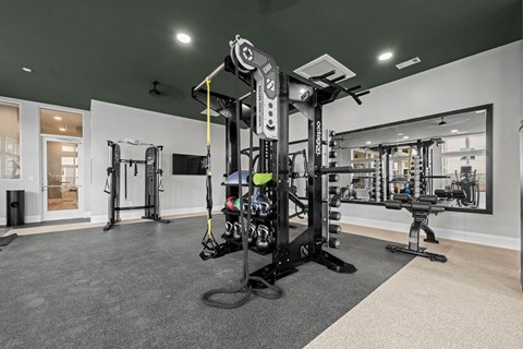 the gym in the home is equipped with weights and cardio equipment