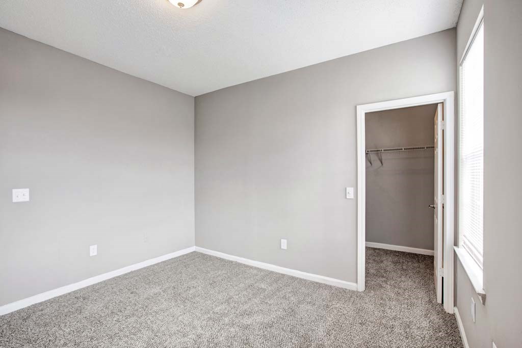 A room with a carpeted floor and a closet with a door open.