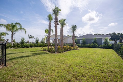 a yard with palm trees in front of a house