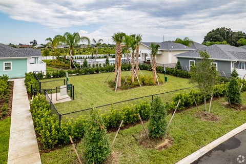 the view of a backyard with trees and a tennis court