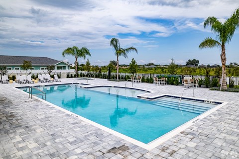 a swimming pool with palm trees and a house in the background