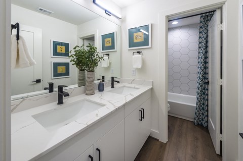 a bathroom with two sinks and a shower and a mirror