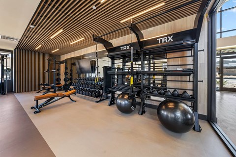 A gym with TRX equipment and a bench.