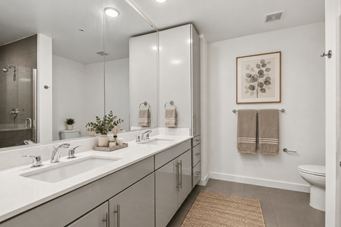 A bathroom with a white countertop and a brown rug.