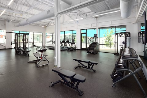 A gym with a variety of equipment including treadmills, stationary bikes, and weight machines.