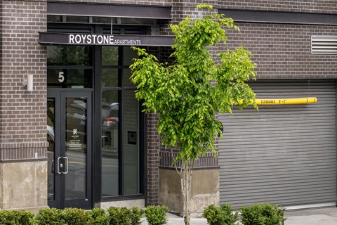 A tree in front of a building with the sign Roystone Apartments.