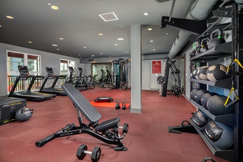 A gym with a variety of equipment including a bench, dumbbells, and a treadmill.