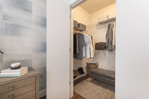 Expansive closet with clothes