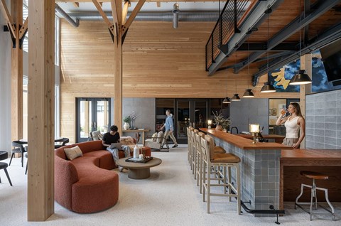 A woman is standing at a bar in a room with wooden beams on the ceiling.