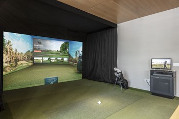 Burrow Golf Simulator - Photo Gallery 3