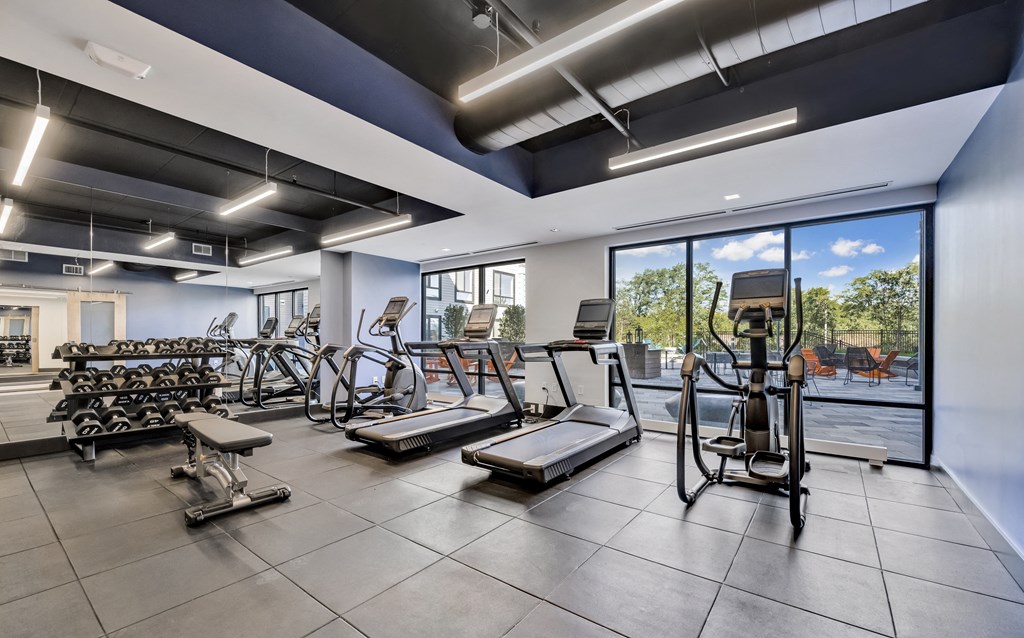 Sun-lit fitness center with cardio equipment, standing bikes, and free weights overlooking the courtyard