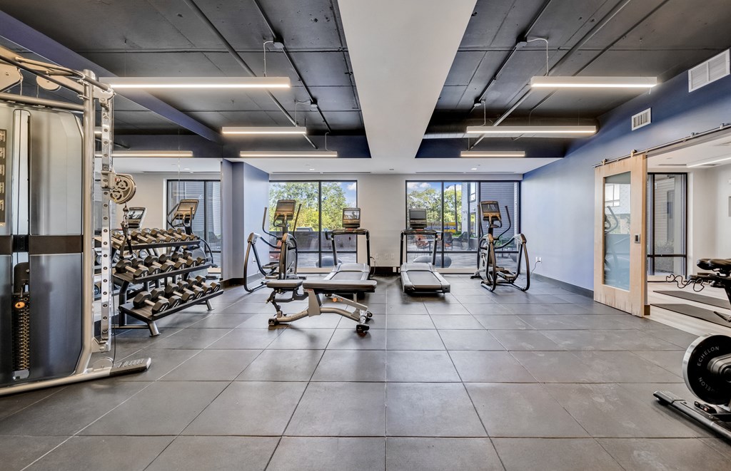 Sun-lit fitness center with cardio equipment, standing bikes, and free weights