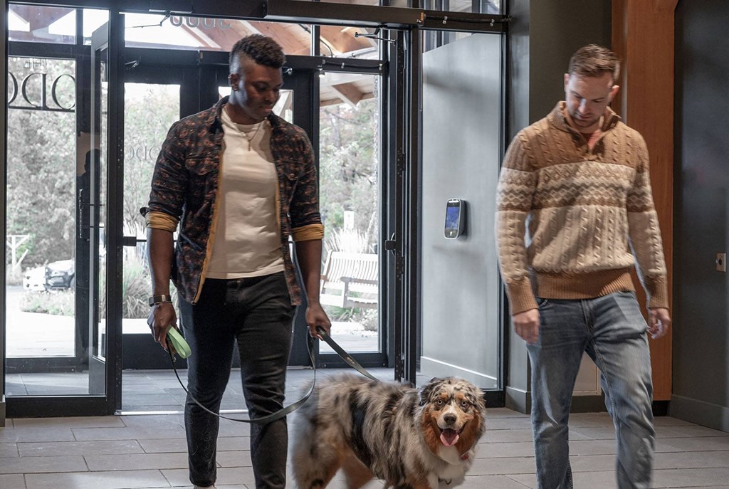 two men walking a dog in front of a building