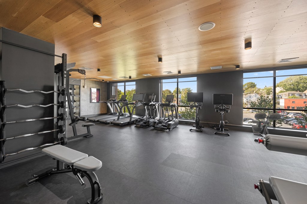 the gym is equipped with weights and cardio equipment and views of the city