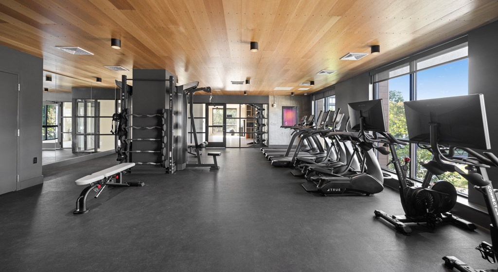 the gym is equipped with a variety of weights and cardio equipment