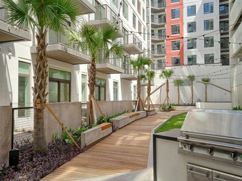 Picnic Grilling Area at Vista Brooklyn, Jacksonville, 32202 - Photo Gallery 20