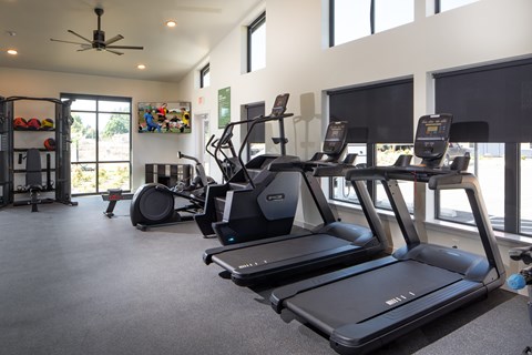 A gym with treadmills, elliptical machines, and a fan.