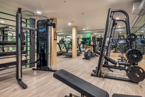 a gym with cardio machines and weights on a wooden floor