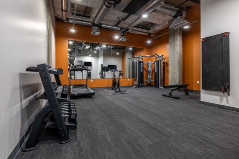 A gym with a variety of equipment including treadmills, weights, and benches.