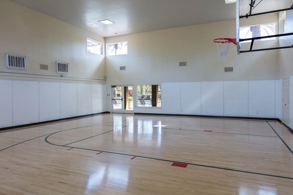 basketball Court