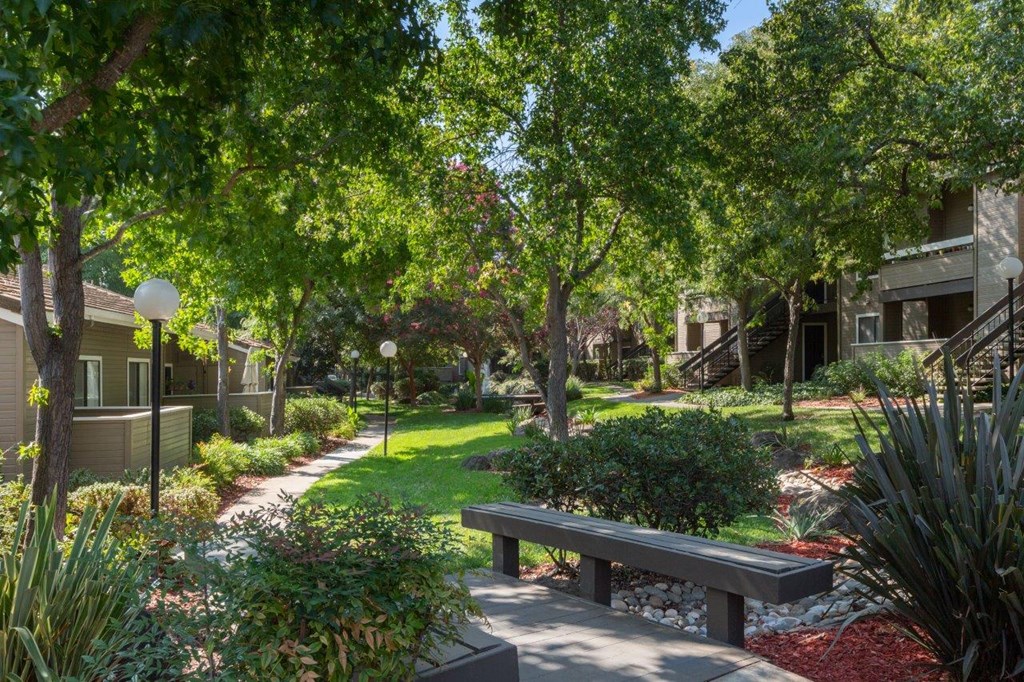 a park with a bench and trees
