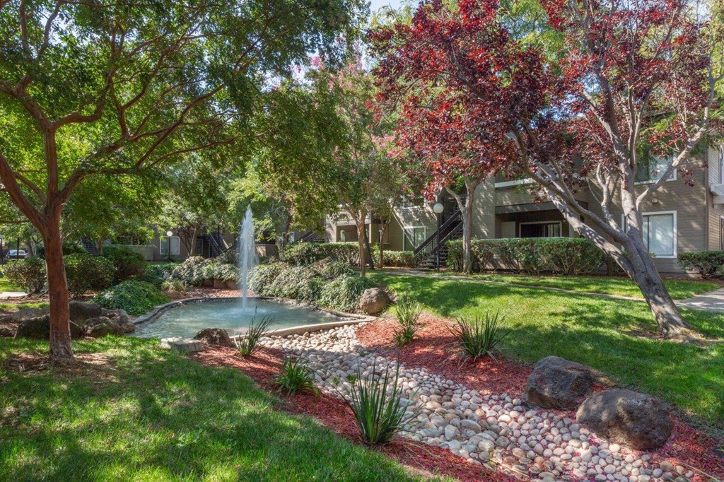 a garden with a pond and trees in front of a house