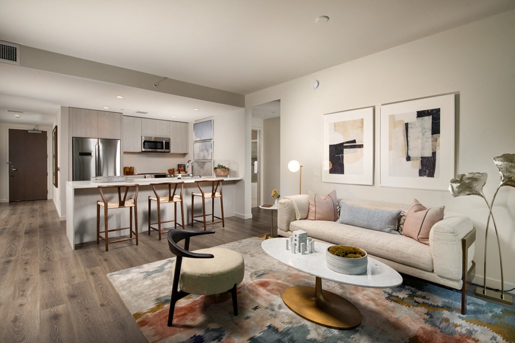 Living and Kitchen Area