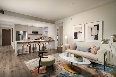 Living and Kitchen Area