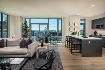 Living Area and Kitchen