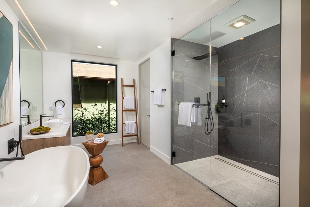 primary bathroom with large shower and standalone tub