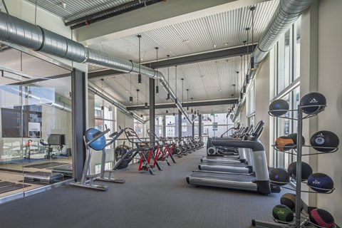 A gym with a variety of equipment including treadmills, weights, and exercise balls.