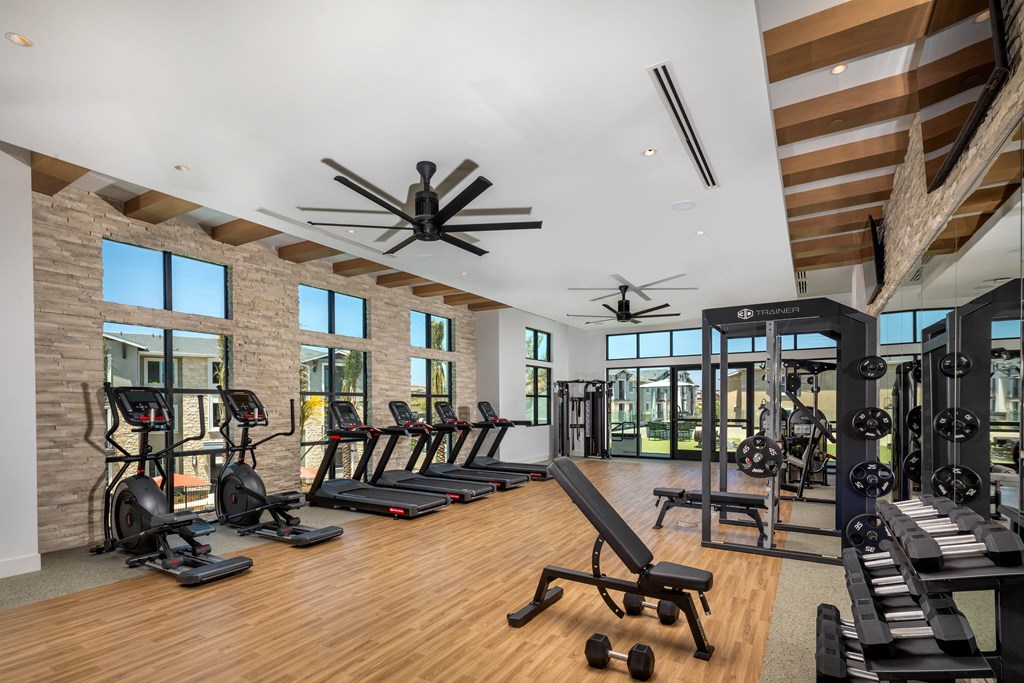 A spacious gym with treadmills, elliptical machines, and dumbbells.