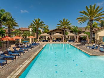 A large swimming pool surrounded by lounge chairs and palm trees.