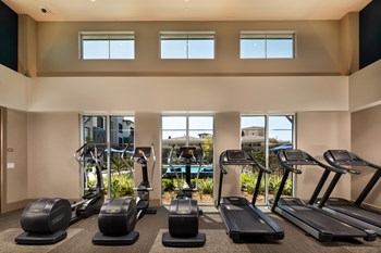 gym - Photo Gallery 6