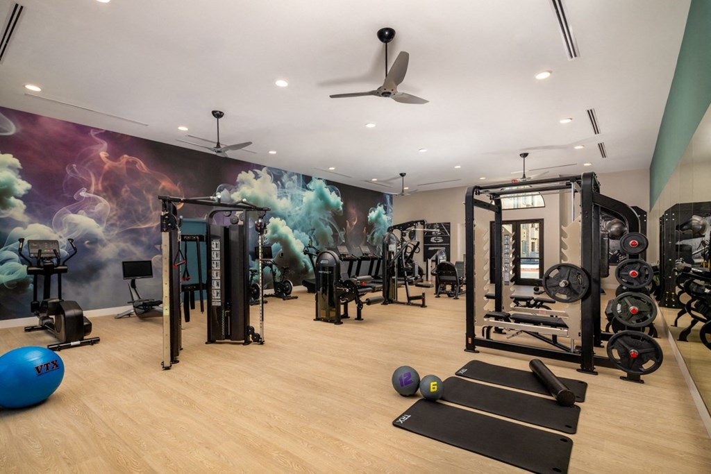 a gym with weights and other exercise equipment and a wall mural of clouds of smoke
