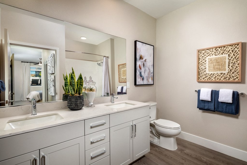 a bathroom with a sink and a toilet and a mirror